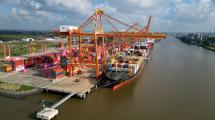 Hecho histórico en TecPlata: Tres buques operaron simultáneamente en la terminal