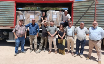 Jáchal logró la primera exportación de semillas de cebolla a Holanda