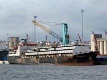 El caso del Spiridon II volverá a la Justicia tras el fallido transporte de 2.901 bovinos uruguayos