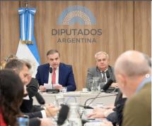Rubén Pérez llevó al Congreso el reclamo de los despachantes por el DNU 70/23 y el régimen courier