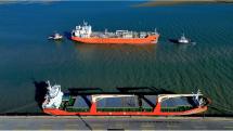 Bahía Blanca proyecta movilizar más de 450.000 toneladas, con fuerte protagonismo de granos y oleaginosas
