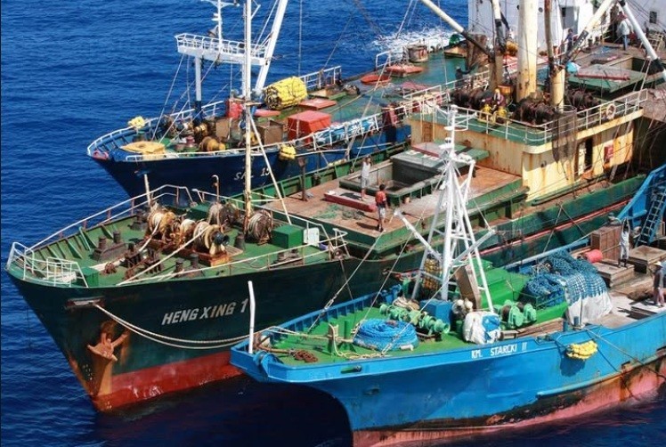 Pesca en la milla 201: una oportunidad que Argentina no puede seguir desaprovechando