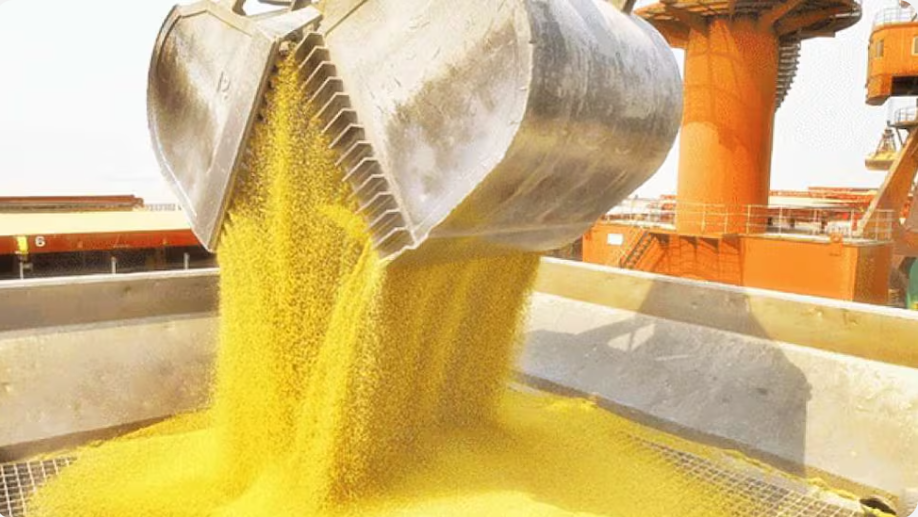 Histórico: China aprobó por primera vez la importación del producto argentino que más dólares genera
