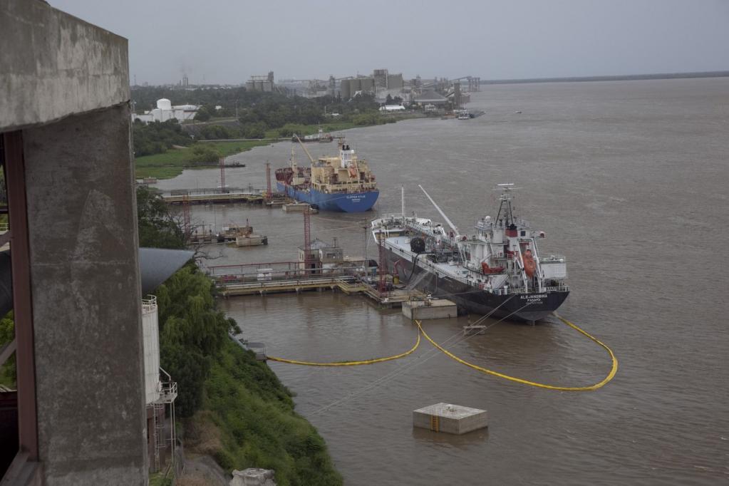 Boom de aperturas sanitarias: Argentina habilitó 162 mercados agroindustriales en 2025 y empuja las exportaciones