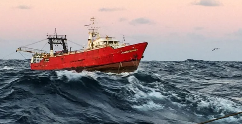 Puertos y pesca: casi 802 mil toneladas desembarcadas en 2025 y un liderazgo que se reafirma