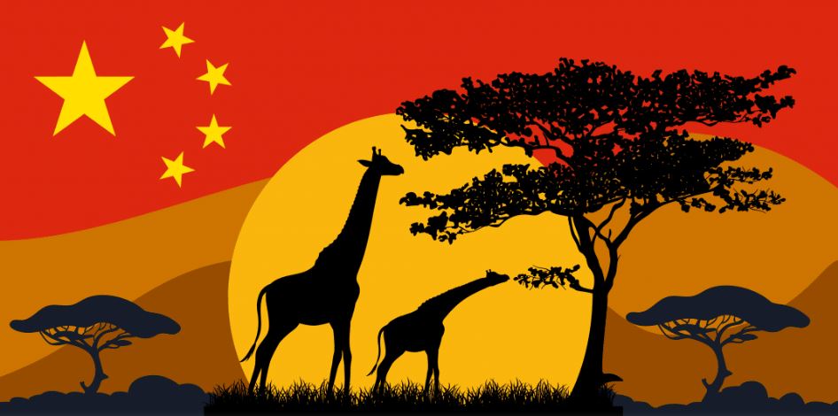 Puertos, logística y cadenas globales: cómo China acelera la integración de África al comercio mundial