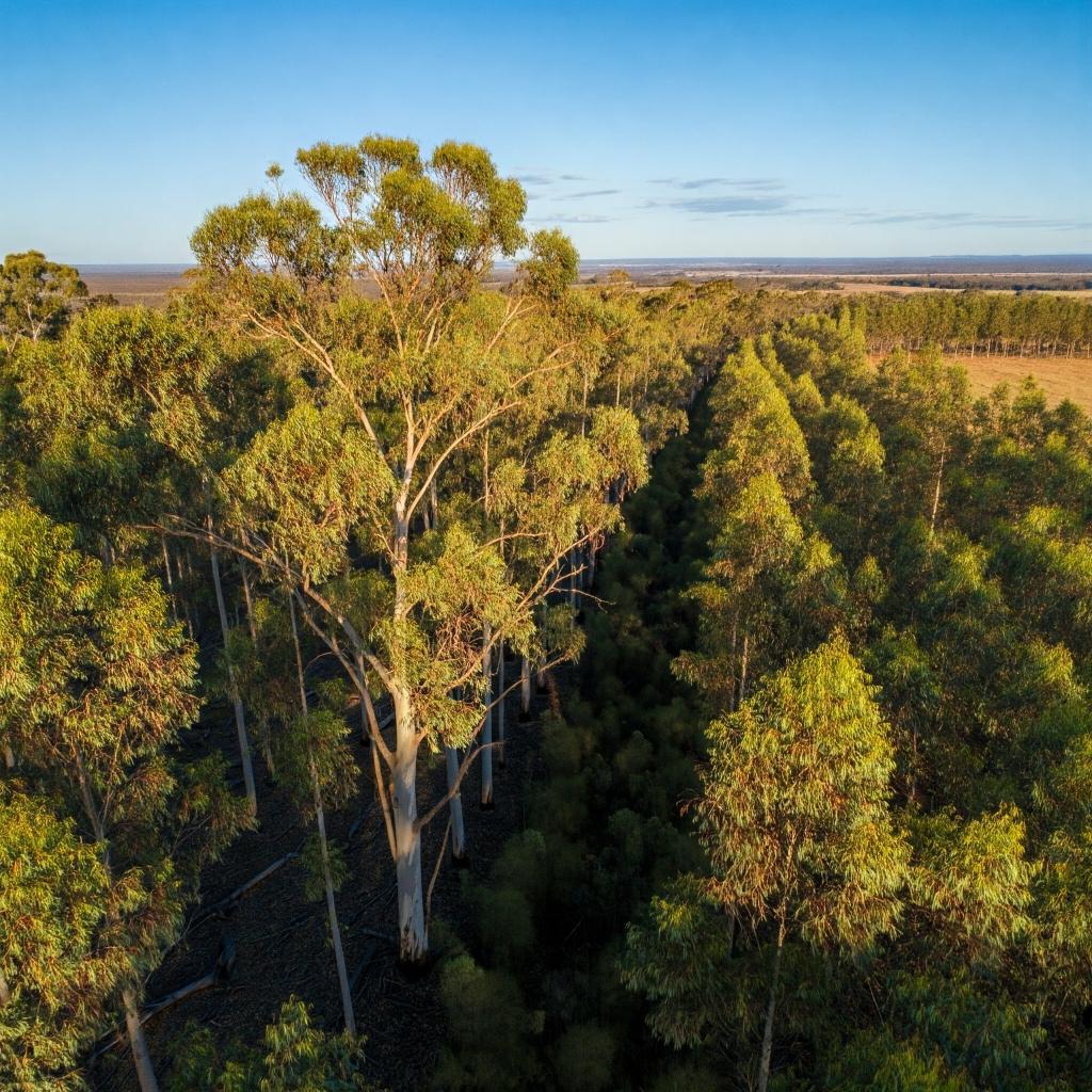 Créditos de carbono, una alternativa para no perder competitividad en el sector marítimo