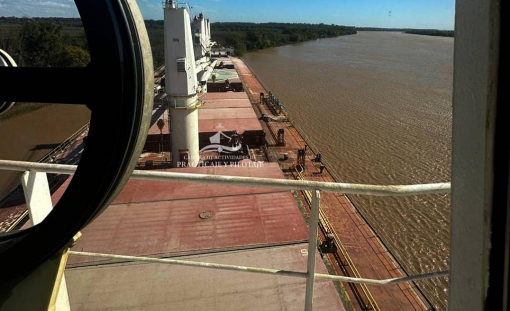 Maniobra de emergencia en el Paraná de las Palmas: un práctico evita una grave colisión, a pocos kilómetros de Atucha
