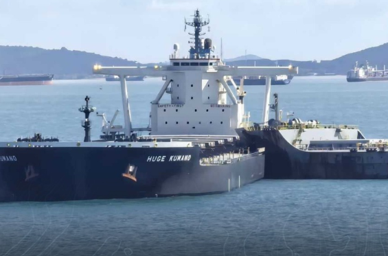 Choque entre dos graneleros frente a Singapur vuelve a encender alertas sobre la congestión marítima global