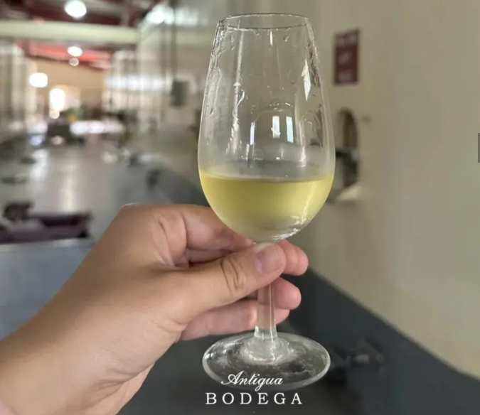Hito comercial: una bodega de San Juan llegará con más de 70.000 litros de vino blanco a las góndolas de Estados Unidos