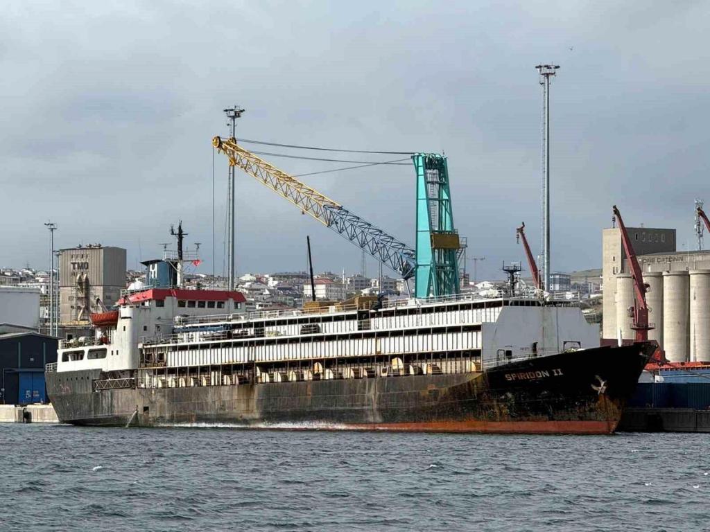 El caso del Spiridon II volverá a la Justicia tras el fallido transporte de 2.901 bovinos uruguayos