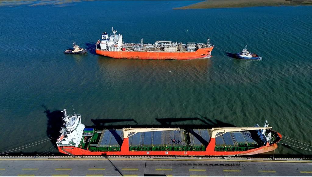 Bahía Blanca proyecta movilizar más de 450.000 toneladas, con fuerte protagonismo de granos y oleaginosas